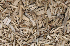 biomass boilers Finnygaud