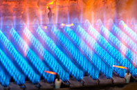Finnygaud gas fired boilers